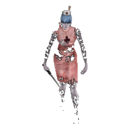 Nurse Leader
