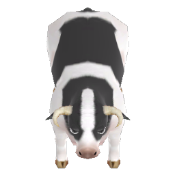 Cow