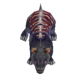 Wild Rat
