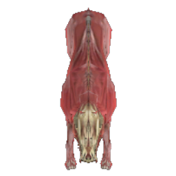 Hell Hound