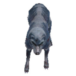 Frozen Cold Wolf
